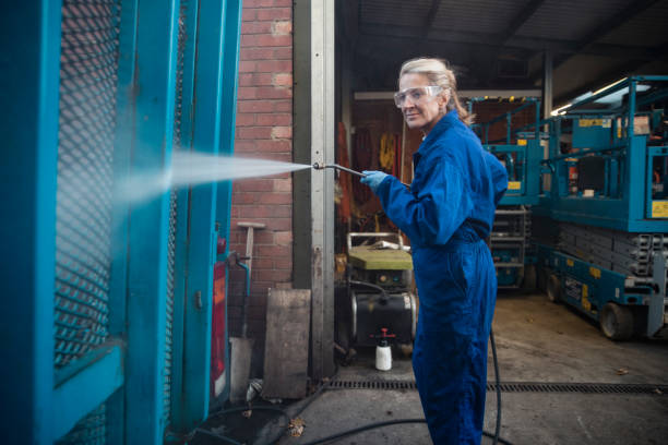 Best Pre-Holiday Cleaning  in Beulaville, NC